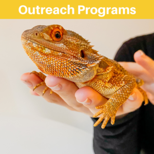 Outreach