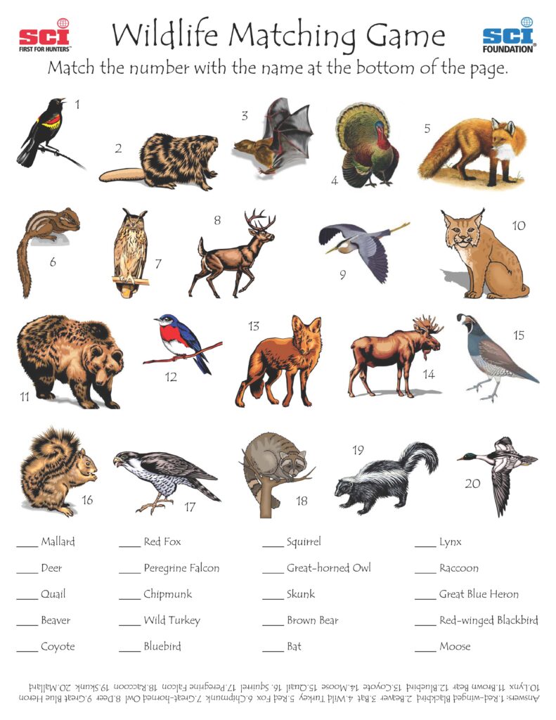 Teacher Resources - International Wildlife Museum