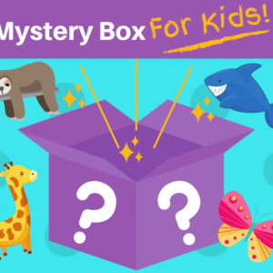 stuffed animal mystery box