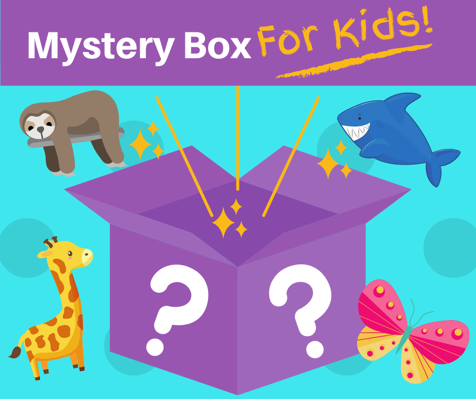 Mystery Box(4) .