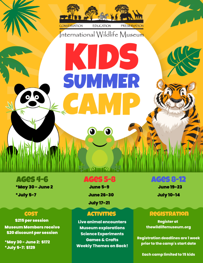 Summer Camp Registration 2023 - International Wildlife Museum