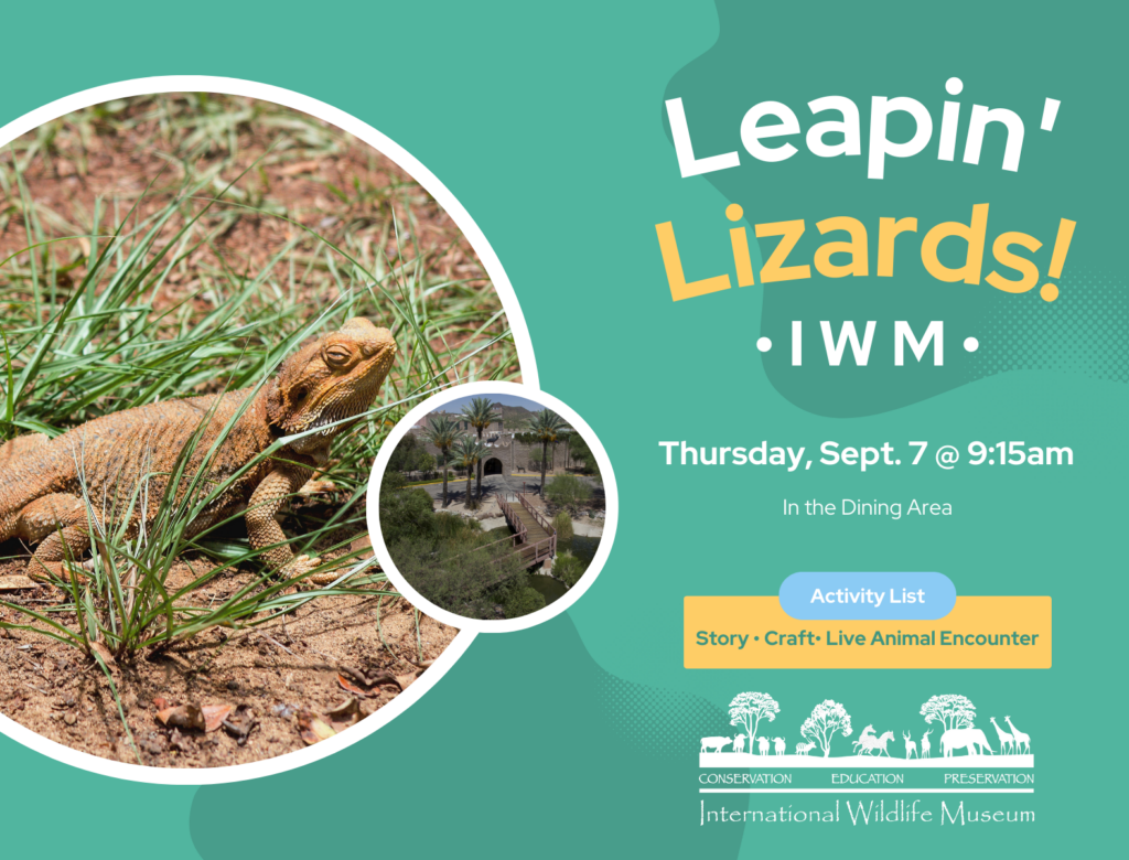 International Wildlife Museum: Leapin’ Lizards | SciTech Institute