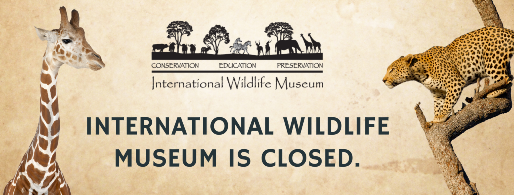 safari club international museum tucson az